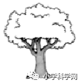 综合器械训练视频_ufc无限制综合格斗训练_三站综合训练器