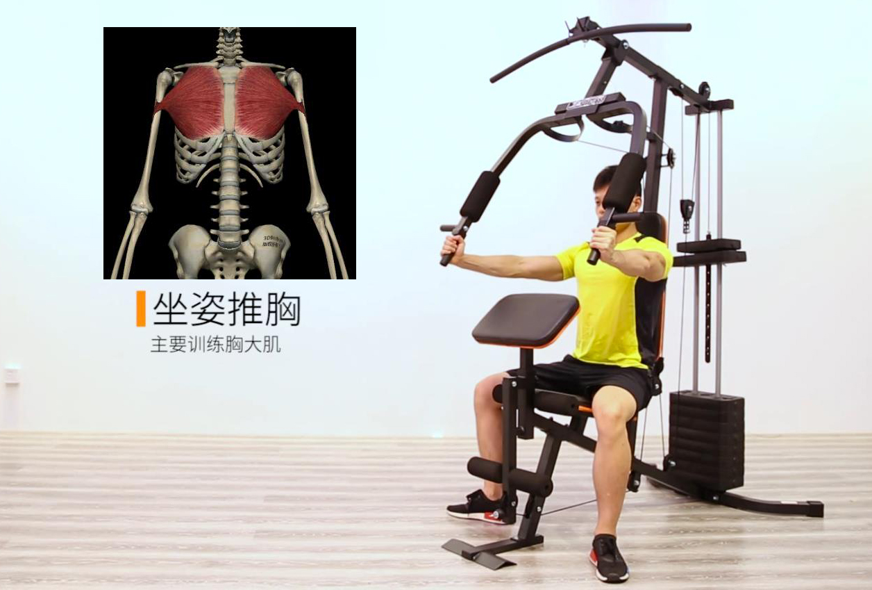 单人站综合训练器_单人站综合训练器教程_单人训练器怎么操作