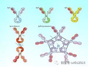 机身体是什么意思_身体机能是啥_什么是身体机能