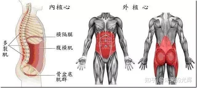 韩漫漫画网站免费观看下拉式 1.完成引体向上的相关肌群