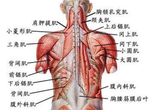 健身手套磨破_手套健身磨破会怎么样_健身带手套还磨手是什么原因