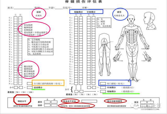 髋关节训练器的适应症_髋关节训练椅的用途_髋关节训练椅