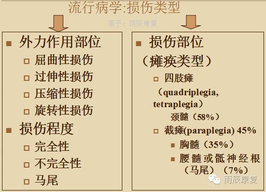 髋关节训练器的适应症_髋关节训练椅的用途_髋关节训练椅
