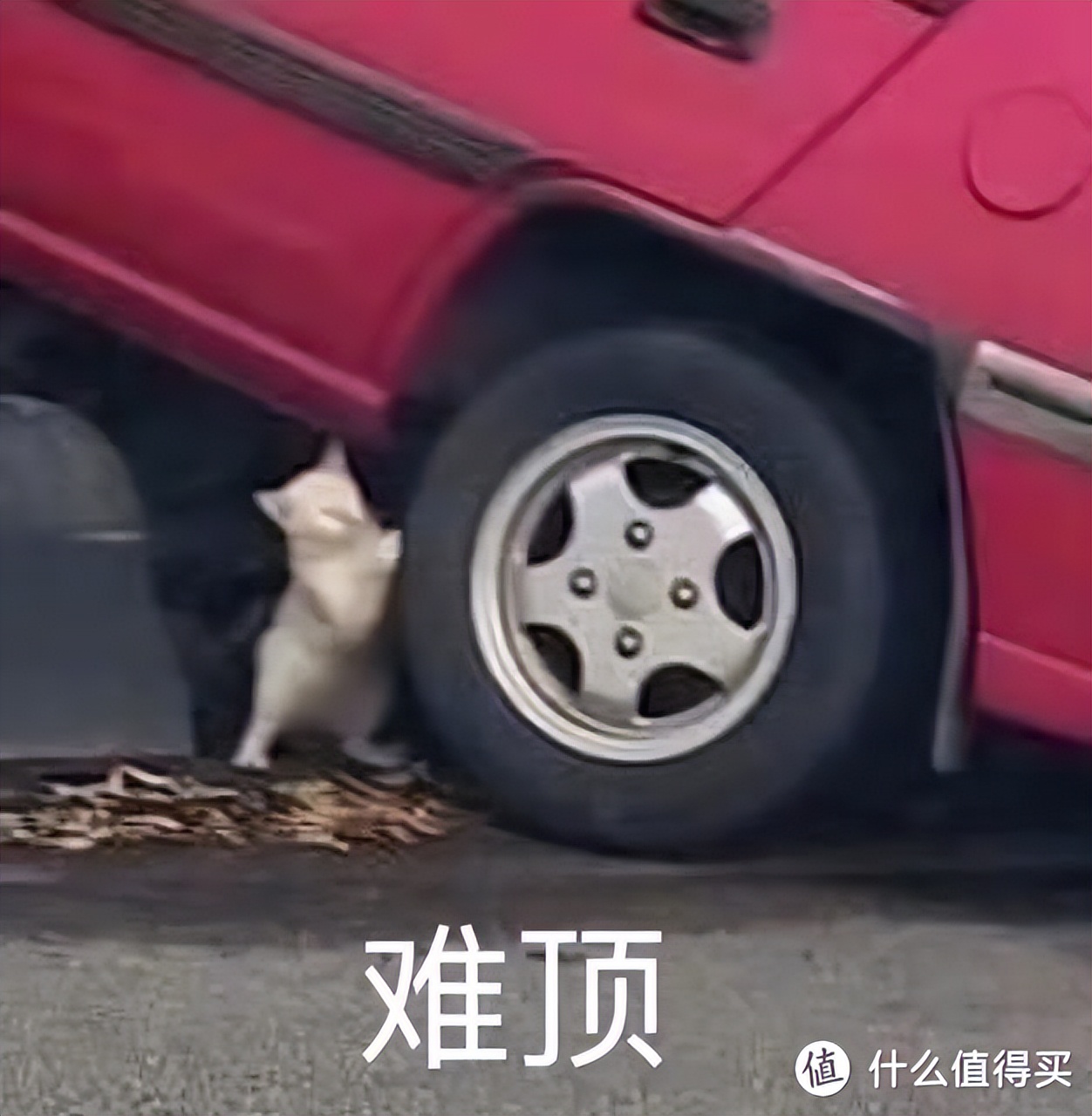 如何在家选择合适的动感单车_家用跑步机什么牌子的好_居家健身器材推荐