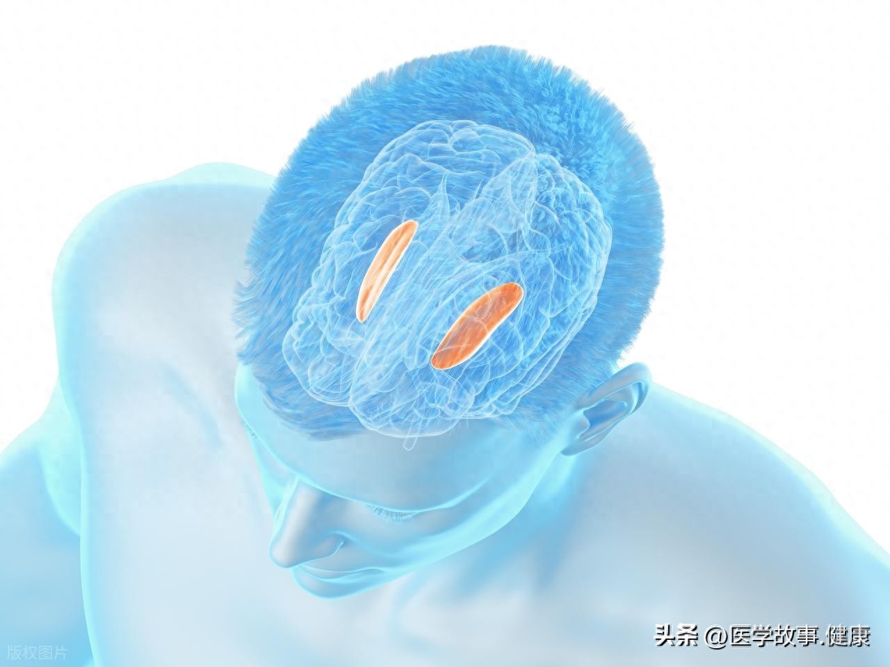 汗汗画画免费阅读在线阅读下拉式 脑卒中手部功能障碍康复手套新技术研究