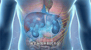 女神漫画免费登录入口页面弹窗 大家都在看的手套品牌十大排行榜，你跟上了吗？